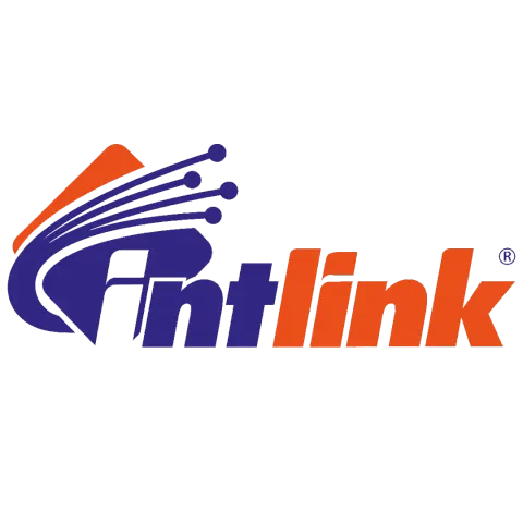 IntLink