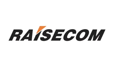 Logo Raisecom