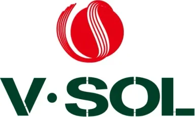 Logo V-Solution