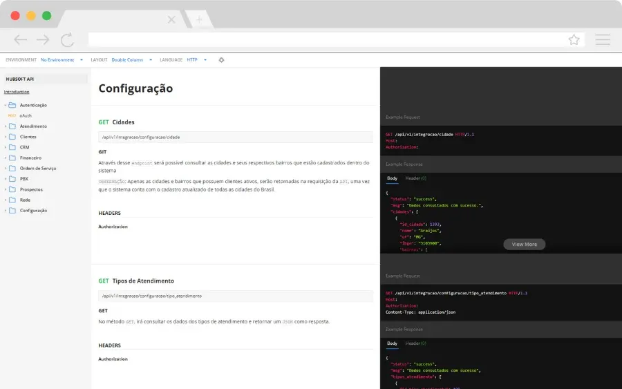 Endpoints and JSON examples in the API documentation